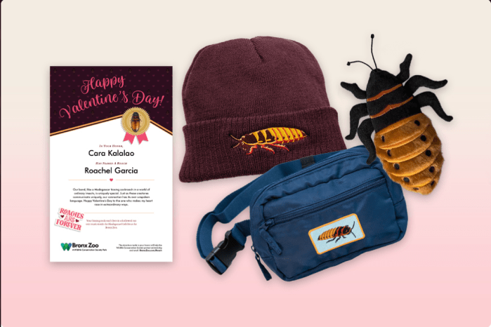 The Bronx Zoo offers several gift packages with the name-a-roach tradition.